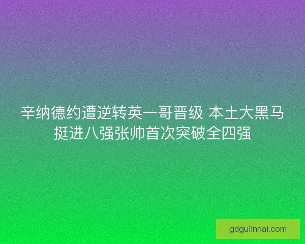辛纳德约遭逆转英一哥晋级 本土大黑马挺进八强张帅首次突破全四强